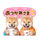 飛び出す♡柴犬わんこの年末年始（個別スタンプ：18）