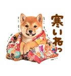 飛び出す♡柴犬わんこの年末年始（個別スタンプ：20）