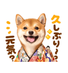 飛び出す♡柴犬わんこの年末年始（個別スタンプ：21）