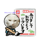マルとシロご挨拶（個別スタンプ：6）