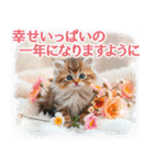 【年末年始＆冬】かわいい子猫☆敬語・丁寧（個別スタンプ：7）