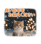 【年末年始＆冬】かわいい子猫☆敬語・丁寧（個別スタンプ：10）