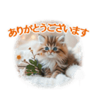 【年末年始＆冬】かわいい子猫☆敬語・丁寧（個別スタンプ：11）