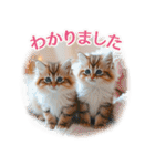 【年末年始＆冬】かわいい子猫☆敬語・丁寧（個別スタンプ：18）