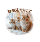 【年末年始＆冬】かわいい子猫☆敬語・丁寧（個別スタンプ：21）