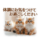 【年末年始＆冬】かわいい子猫☆敬語・丁寧（個別スタンプ：23）