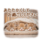 【年末年始＆冬】かわいい子猫☆敬語・丁寧（個別スタンプ：24）