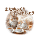 【年末年始＆冬】かわいい子猫☆敬語・丁寧（個別スタンプ：27）