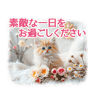 【年末年始＆冬】かわいい子猫☆敬語・丁寧（個別スタンプ：30）