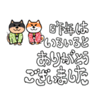 柴犬の正月 2025年（個別スタンプ：5）