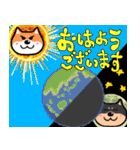 柴犬の正月 2025年（個別スタンプ：15）