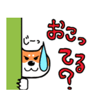 柴犬の正月 2025年（個別スタンプ：24）