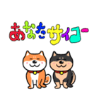 柴犬の正月 2025年（個別スタンプ：25）