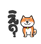 柴犬の正月 2025年（個別スタンプ：27）