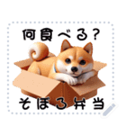 好きな言葉で柴犬/猫ミーム風。メッセージ（個別スタンプ：10）