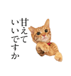 猫田家ついか。（個別スタンプ：3）