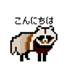 ドットのたぬき2（個別スタンプ：1）