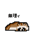 ドットのたぬき2（個別スタンプ：3）