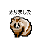 ドットのたぬき2（個別スタンプ：4）