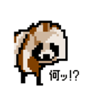 ドットのたぬき2（個別スタンプ：5）