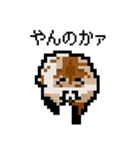 ドットのたぬき2（個別スタンプ：6）