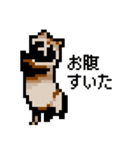 ドットのたぬき2（個別スタンプ：7）