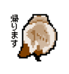 ドットのたぬき2（個別スタンプ：16）