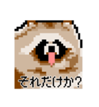 ドットのたぬき2（個別スタンプ：22）