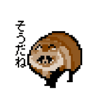 ドットのたぬき2（個別スタンプ：24）