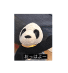 大人っぽパンタンさん（個別スタンプ：1）