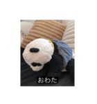 大人っぽパンタンさん（個別スタンプ：2）