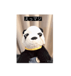 大人っぽパンタンさん（個別スタンプ：3）