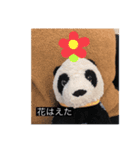 大人っぽパンタンさん（個別スタンプ：5）