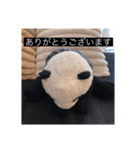 大人っぽパンタンさん（個別スタンプ：6）