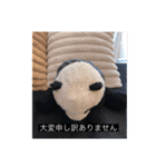 大人っぽパンタンさん（個別スタンプ：13）