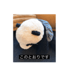 大人っぽパンタンさん（個別スタンプ：14）