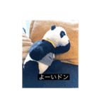 大人っぽパンタンさん（個別スタンプ：18）