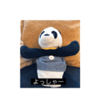 大人っぽパンタンさん（個別スタンプ：23）