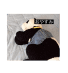 大人っぽパンタンさん（個別スタンプ：24）