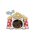 ハッピー＆ラッキー ④（個別スタンプ：5）