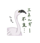 アフリカのどうぶつたち①（個別スタンプ：6）