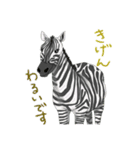 アフリカのどうぶつたち①（個別スタンプ：12）
