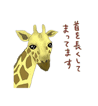 アフリカのどうぶつたち①（個別スタンプ：13）
