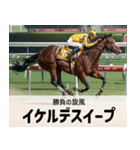 【架空の競走馬】おもしろ競馬2 関西弁（個別スタンプ：3）