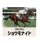 【架空の競走馬】おもしろ競馬2 関西弁（個別スタンプ：16）