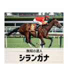 【架空の競走馬】おもしろ競馬2 関西弁（個別スタンプ：17）