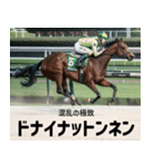 【架空の競走馬】おもしろ競馬2 関西弁（個別スタンプ：24）