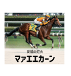 【架空の競走馬】おもしろ競馬2 関西弁（個別スタンプ：34）