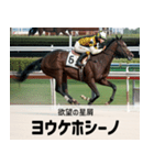 【架空の競走馬】おもしろ競馬2 関西弁（個別スタンプ：37）