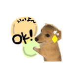 のんびりチワックス犬（個別スタンプ：1）